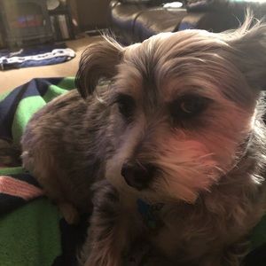 Meet your Posher, Meghan